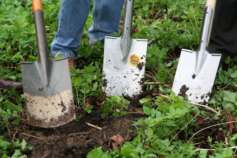 pepiniere-ST AUBAN-min_work-lawn-flower-tool-green-backyard-1103633-pxhere.com